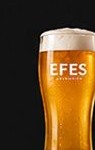 EFES DRAFT (0.3)